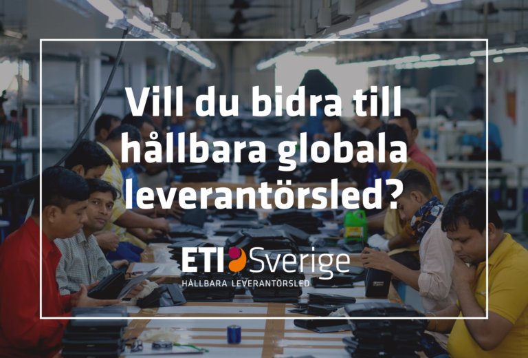 Projektledare och rådgivare till ETI Sverige