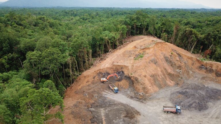 Avskogningsförordningen är slutförhandlad: fem viktigaste punkterna