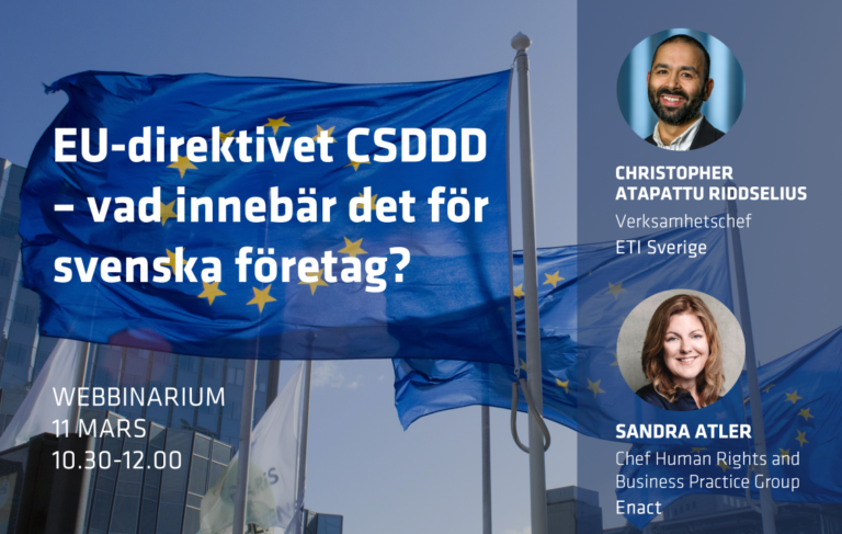 EU-direktivet CSDDD – vad innebär det för svenska företag?